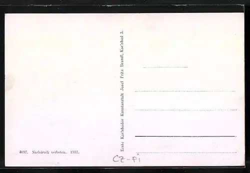 AK Konstantinsbad, Etablissement Elisenhof aus der Vogelschau