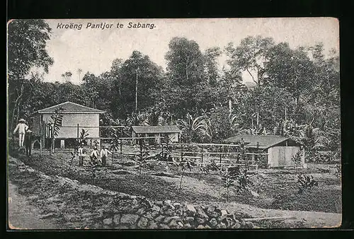 AK Sabang, Kroeng Panthor