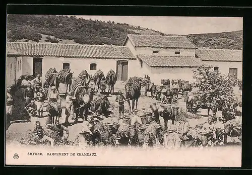 AK Smyrne, Campement de Chameaux