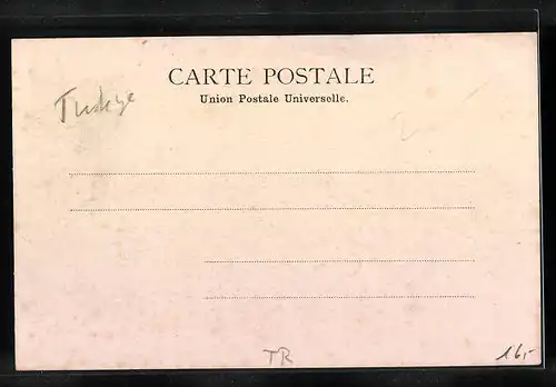 AK Smyrne, Campement de Chameaux