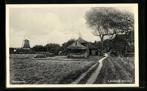 AK Nunspeet, Landelijk tooneel