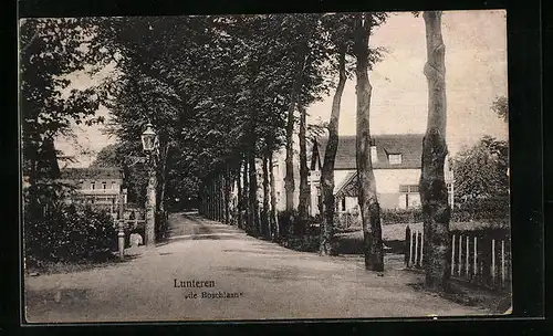 AK Lunteren, de Boschlaan