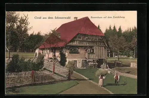 AK Zwieselberg /Schwarzwald, Bauernhaus auf dem Zwieselberg