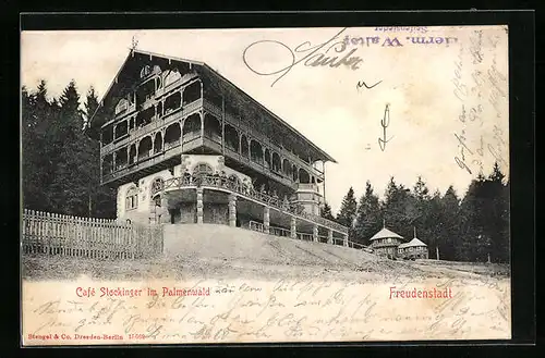 AK Freudenstadt, Café Stockinger im Palmenwald