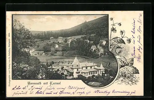 AK Herrenalb, Ortspartie mit Kursaal