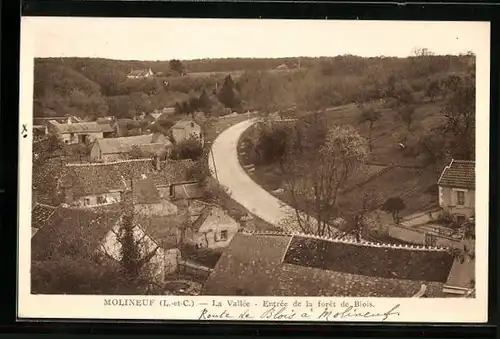 AK Molineuf, La Vallée, Entrée de la foret de Blois