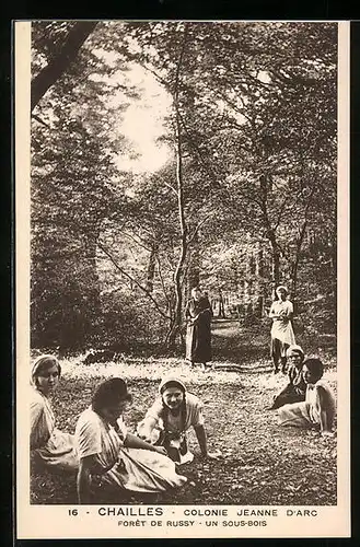 AK Chailles, Colonie Jeanne d`Arc, Foret de Russy, Un Sous-Bois