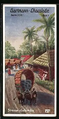 Sammelbild Gartmann's Chocolade, Serie 330, Bild I, Bilder aus Ceylon, Strasse in Colombo