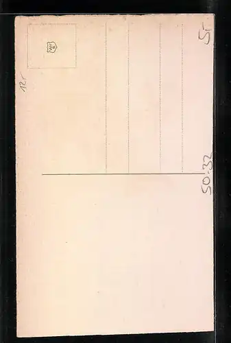 AK Maikäfer krabbeln am Birkenzweig