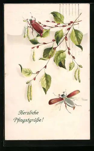 Lithographie Herzliche Pfingstgrüsse, Birkenzweig mit Maikäfern