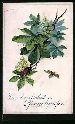 Lithographie Kastanienblüte mit Maikäfern