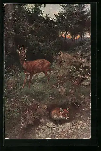 AK Fuchs schaut aus seinem Bau im Wald, Reh