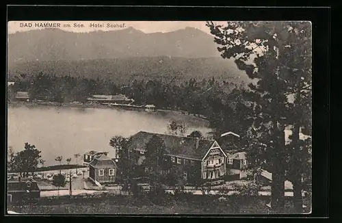AK Bad Hammer am See, Hotel Seehof