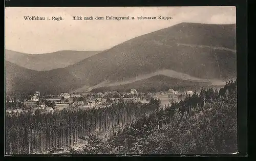 AK Wolfshau i. Rsgb., Blick nach dem Eulengrund und Schwarze Koppe