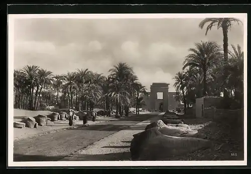 AK Karnak, Panorama