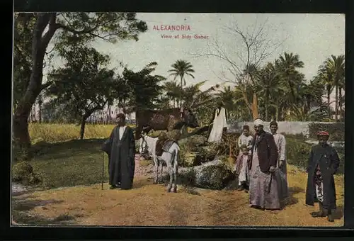 AK Alexandria, View of Sidy Gaber