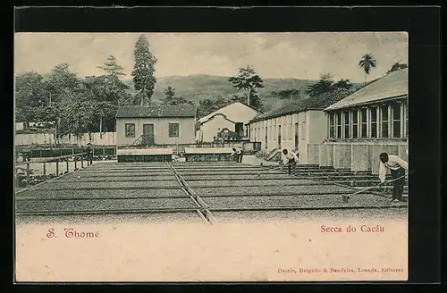 AK S. Thomé, Secca do Cacáu