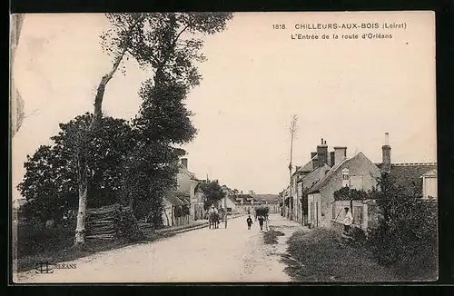 AK Chilleurs-aux-Bois, l'Entrée de la route d'Orléans