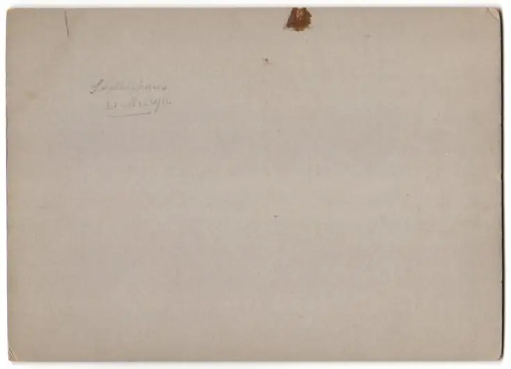 Fotografie unbekannter Fotograf, Ansicht Freiberg i. Sa., Parseval P.L. 6 Luftschiff bei der Landung am Stollnhaus 1914 1