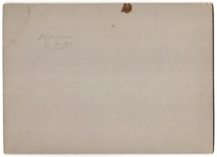 Fotografie unbekannter Fotograf, Ansicht Freiberg i. Sa., Parseval P.L. 6 Luftschiff bei der Landung am Stollnhaus 1914 1