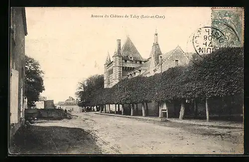 AK Talcy, Avenue du Chateau de Talcy