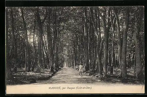 AK Oucques, Maugué