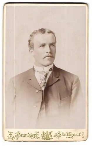 Fotografie H. Brandseph, Stuttgart, Marienstr. 36, Portrait blonder junger Mann mit Schnurrbart