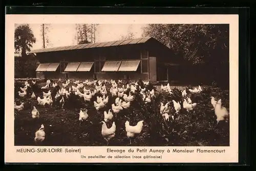 AK Meung-sur-Loire, Elevage du petit Aunay a Monsieur Flamencourt