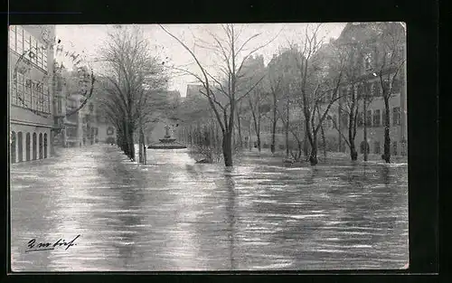AK Nürnberg, Hochwasser-Katastrophe vom 05. Febr. 1909, auf dem Maxplatz