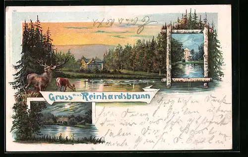 Lithographie Reinhardsbrunn, Hirsch am Ufer, Blick zum Landschloss