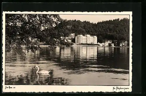 AK Bled / Veldes, Blick auf die Siedlung am Ufer