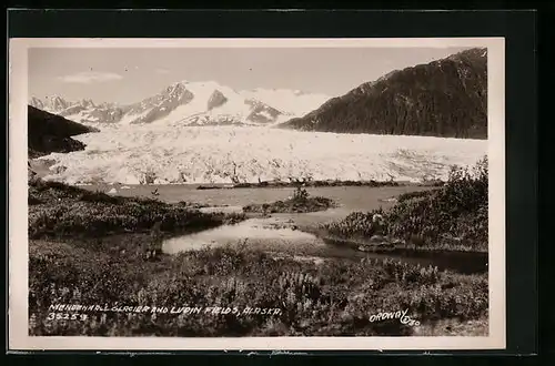 AK Juneaus, AK, the Mendenhall Glacier and Ludin Fields