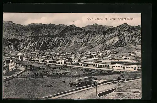 AK Aden, View of Camel Market Town