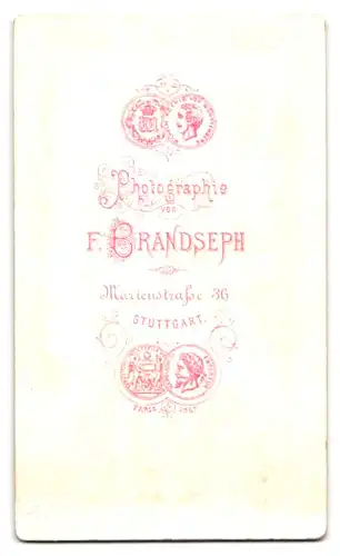 Fotografie F. Brandseph, Stuttgart, Marienstr. 36, Portrait einer elegant gekleideten Frau mit Schleife am Blusenkragen