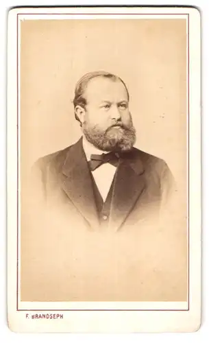 Fotografie F. Brandseph, Stuttgart, Marienstr. 36, Portrait stattlicher Herr mit Vollbart und Fliege im Jackett