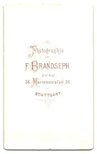 Fotografie F. Brandseph, Stuttgart, Marienstr. 36, Portrait bildschönes Fräulein mit Flechtdutt