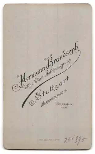 Fotografie H. Brandseph, Stuttgart, Marienstr. 36, Portrait einer elegant gekleideten Dame mit Brosche am Blusenkragen