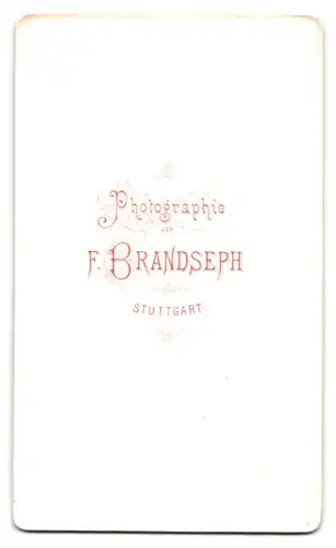 Fotografie F. Brandseph, Stuttgart, Portrait stattlicher Herr mit Bart und Fliege im Jackett