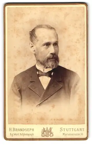 Fotografie H. Brandseph, Stuttgart, Marienstr. 36, Portrait stattlicher Herr mit Vollbart und Fliege im Jackett