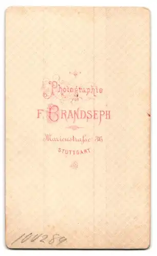 Fotografie F. Brandseph, Stuttgart, Marienstr. 36, Portrait bildschönes Fräulein mit Flechtdutt in gerüschter Bluse