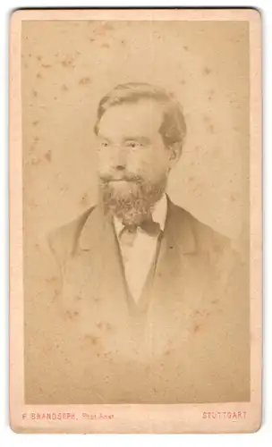 Fotografie F. Brandseph, Stuttgart, Marienstr. 36, Portrait stattlicher Herr mit Zwicker und Vollbart