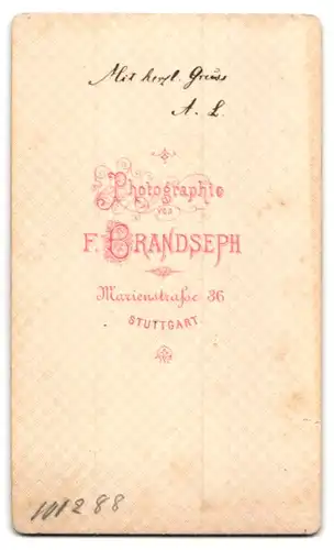 Fotografie F. Brandseph, Stuttgart, Marienstr. 36, Portrait stattlicher Herr mit Zwicker und Vollbart