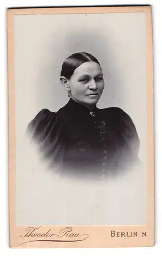 Fotografie Theodor Rau, Berlin, Fransecki-Str. 13, Portrait dunkelhaarige Frau im prachtvollen Kleid