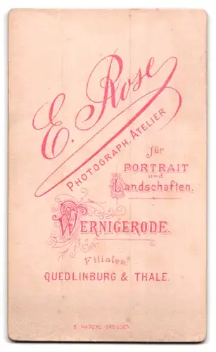 Fotografie E. Rose, Wernigerode, Portrait bildschönes Fräulein im prachtvollen Kleid