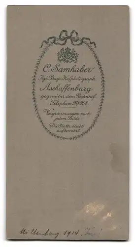 Fotografie C. Samhaber, Aschaffenburg, Portrait einer elegant gekleideten Frau in gestreifter Bluse