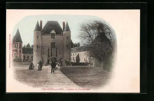 AK Chilleurs-aux-Bois, Chateau de Chamerolles