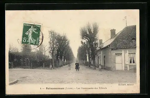 AK Boiscommun, Les Promenades des Tilleuls