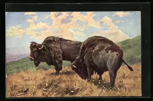 Künstler-AK Johan Georg Gerstenhauer: zwei Bisons beim Grasen