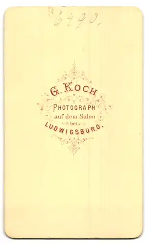 Fotografie G. Koch, Ludwigsburg, Portrait stattlicher Herr mit grauem Haar und Vollbart