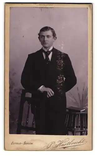 Fotografie P. Hartbrecht, Cottbus-Sandow, Portrait junger Mann mit Krawatte im Anzug